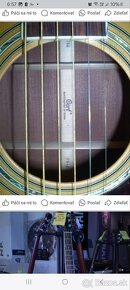 Cort  akustická gitara made in Korea - 13