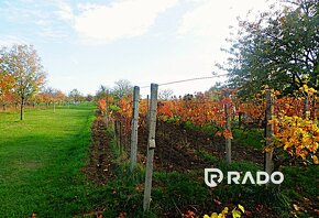 RADO | Vinohradnícky domček s pozemkom v meste Skalica - 13