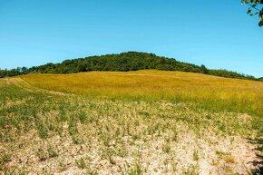 Beckov – 20.000 m2 v celku (Farma, Chov koní...) - 13