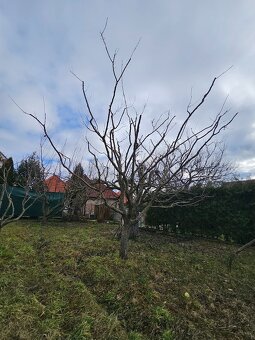 Strihanie, rotavatorovanie, zahradne práce a iné - 13