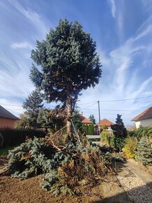 Údržba okrasných záhrad a zelene - 13