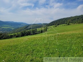 Väčší rekreačný pozemok s nádhernými výhľadmi nad obcou Zu - 13