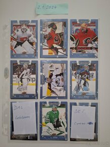 Hokejové karty - brankári COMPENDIUM BLUE - 13