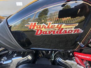 Harley Davidson - 13