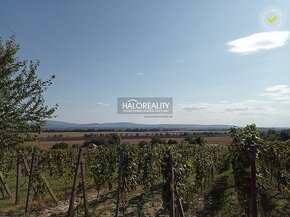 HALO reality - Predaj, chata Bátorove Kosihy - EXKLUZÍVNE HA - 13