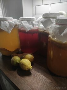 Kombucha - Scoby - Čajova huba - 13