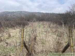 Vinica pri Jablonove nad Turňou, časť Eveteš - 13