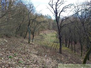 Pozemok obkolesený lesom nad Nimnicou na relax v prírode - 13