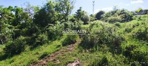 HALO reality - Predaj, rekreačný pozemok Krupina, iba 7 €/m2 - 13