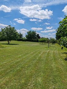 Mužla predám rodinný dom s pozemkom cca 45 x 65m=2900m2 - 13