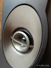 BOSE 301 Series V - 13