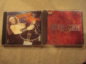 CD SEPULTURA D.PURPLE STING AEROSMITH A.COOPER B.DICKINSON - 13