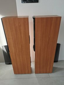 PSB SPEAKERS ALPHA T - 13