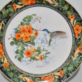 Royal Doulton Anglické porcelánové taniere - Kolibríky - 13