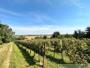 Viničný domček s vinohradom nad malebnou dedinkou Michal n - 13