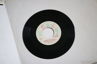 PREDÁM RÔZNE ZBERATELSKÉ LP PLATNE - 13