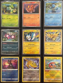 Pokemon TCG karty-V-Ex-Gallery-Promo-Radiant - 14