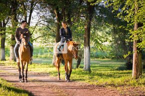 PONUKA LUXUSNÝCH RD NA LODENICI PIEŠŤANY 72024 - 14