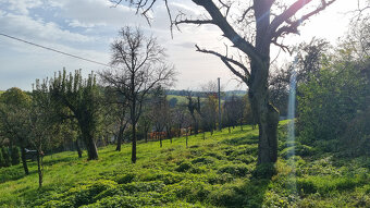 RODINNÝ DOM,STODOLA a POZEMOK PRIETRŽ -15 km od MYJAVY VOĽNÝ - 14