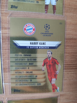 Futbalové kartičky Match Attax 2024/25 - Golden Edge - 14