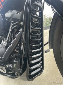 Harley Davidson Street Bob 114 FXBBS, Custom, DPH - 14