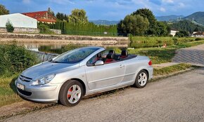 Peugeot 307cc - 14