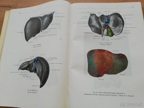 F.Kiss, J.Szentágothai - Atlas anatómie človeka 3 časti - 14