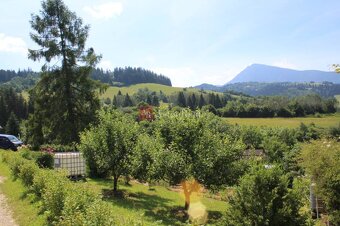 Záhradná CHATKA v časti Brezovec, pozemok 379 m2 - 14