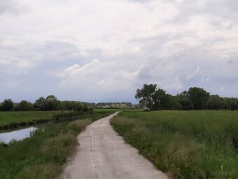 VILLA-RODINNÁ KÚRIA na PREDAJ pri meste Dunajská Streda - 14