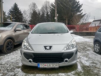 Peugeot 307 - 14