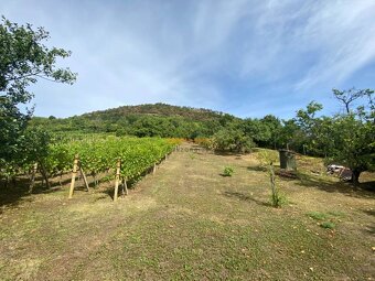 PREDAJ Chatka s nádhernou vinicou, Hrušov - 14