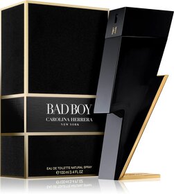 Paco Rabanne 1 Million 100ml,  pre mužov - 14