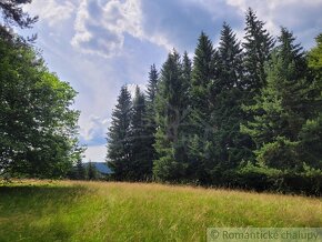 Väčší pozemok v horách nad Lazmi pod Makytou - Čertov - 14