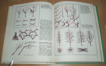 Tvarovanie a rez ovocných drevín - 14