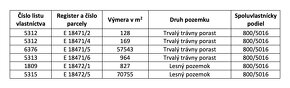 Korňa – 20.800 m2 LES s prístupom z obce - Na predaj - 14