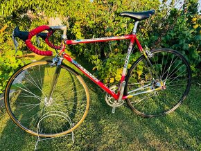 Colnago Master Olympic Decor “Trifoglio” - 14