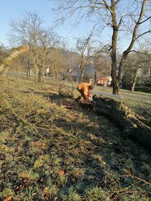 Rizikové pílenie stromov, výrub stromov. - 14