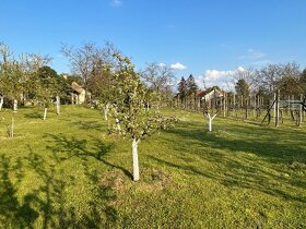 Na predaj MEŠTIANSKY DOM aj PREDAJŇA na pozemku  4349 m2 . - 14