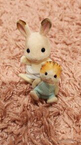 Sylvanian family - 14