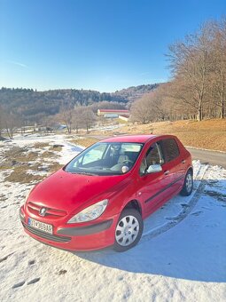 Peugeot 307 1.6.16v 80kw - 14