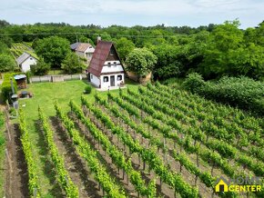 NA PREDAJ RODINNÉ VINÁRSTVO S KOMPLETNÝM ZARIADENÍM A VINICO - 14