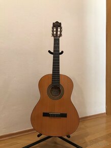 Akustická gitara IBANEZ 3/4 - 14