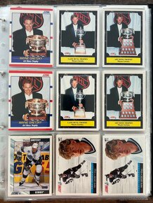 Hokejove Kartičky Wayne Gretzky - 14