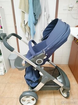 Stokke cruzi - 14