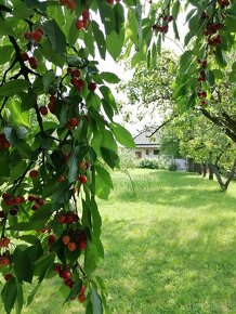 Dom s peknou záhradou v tichej ulici - 14