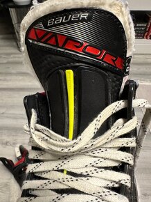 Korcule Bauer Vapor 2x Pro - 14