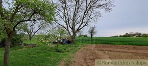 Predaj vidieckeho domu s veľkým pozemkom v obci Radošina-B - 14