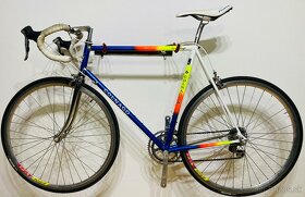 Colnago Decor - 14