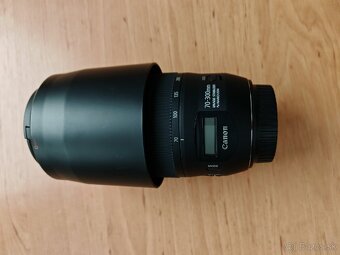 Canon EF 70-300mm f/4 - 5.6 IS II USM - 14