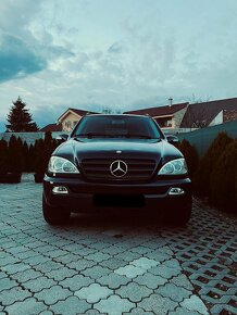 Predam Mercedes Benz ML 270 CDI - 14